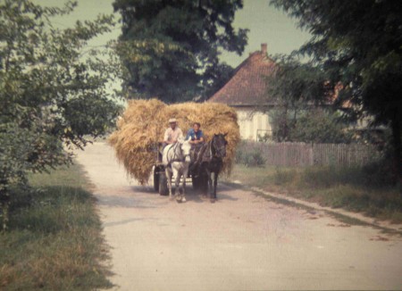 Le transport du foin